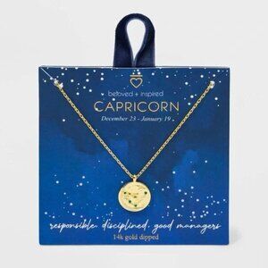 Beloved + Inspired 14K Gold Dipped 'Capricorn' Disc with Stones Pendant Necklace